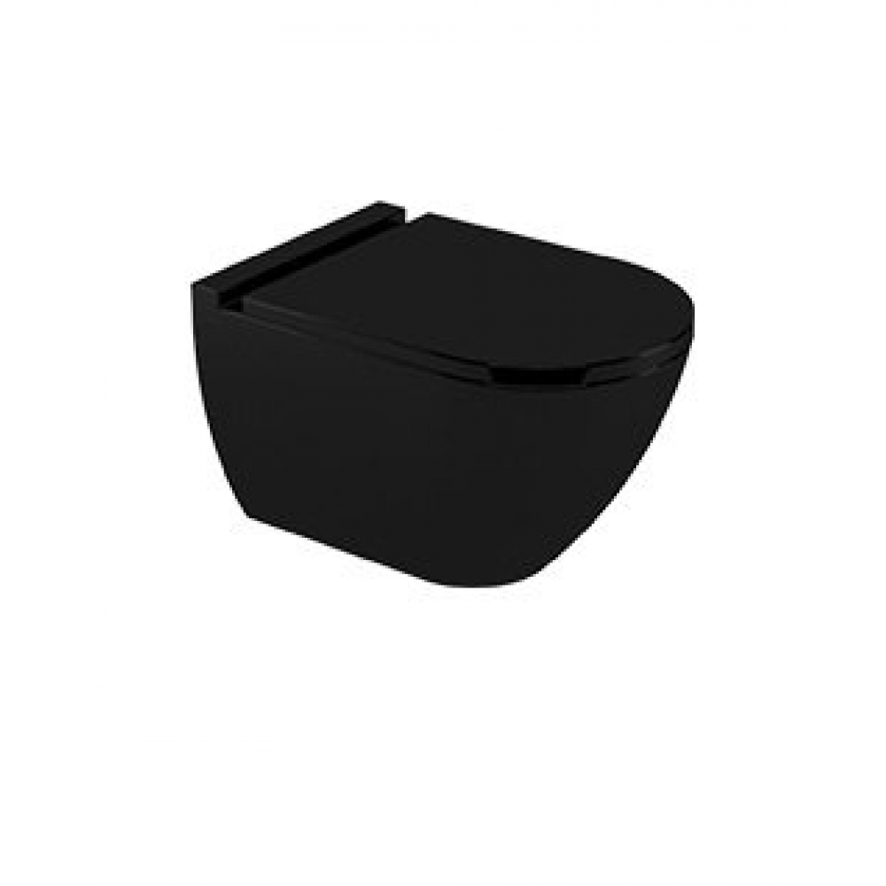 Newarc Modern Asma Klozet ve Modern Yavaş Kapanan Klozet Kapağı, Parlak Siyah, 3823BB