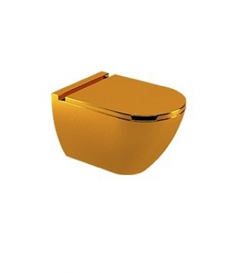 Newarc Modern Asma Klozet ve Modern Yavaş Kapanan Klozet Kapağı, Parlak Altın, 3823G